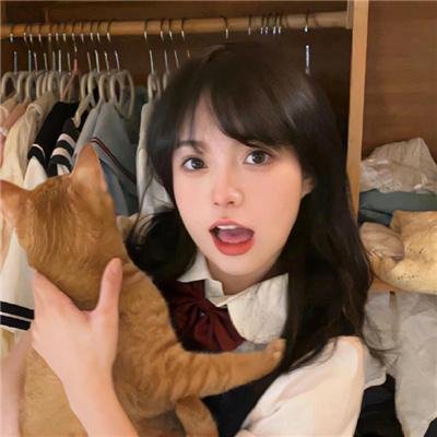 施密特的猫